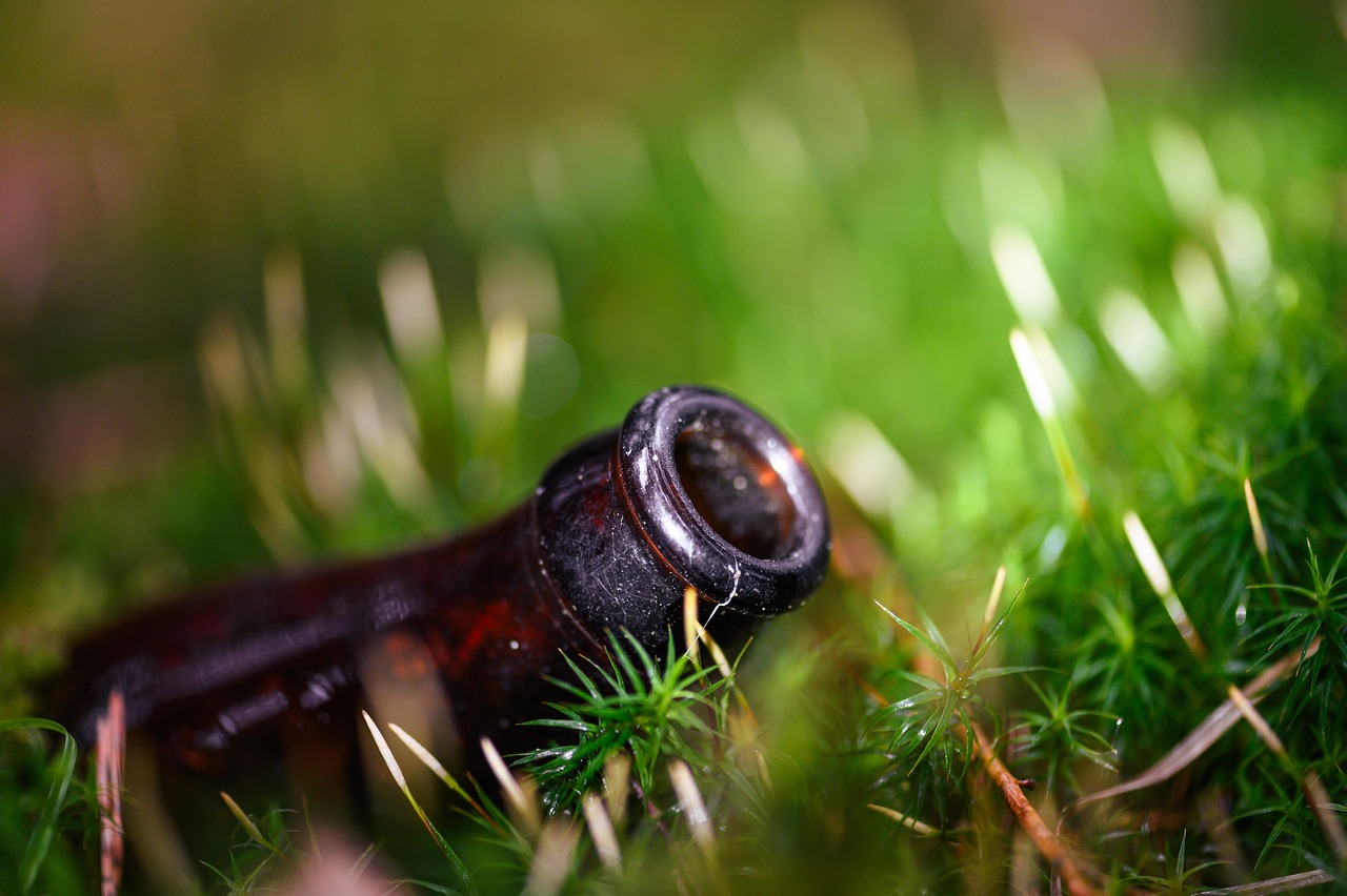 10 Tips for Sustainable Urban Living